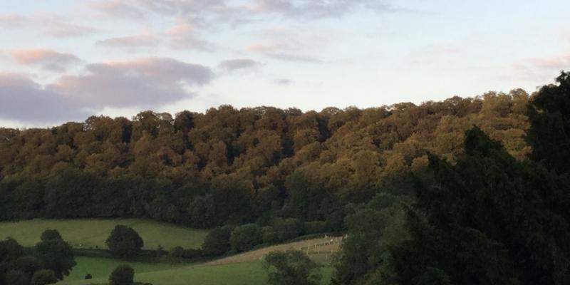 Slad Valley view