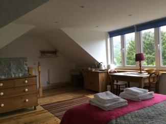 Woodpecker
