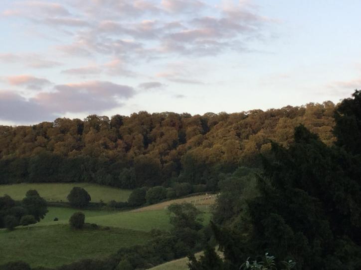 Slad Valley view